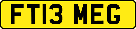 FT13MEG