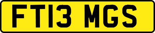 FT13MGS