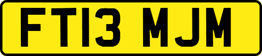 FT13MJM