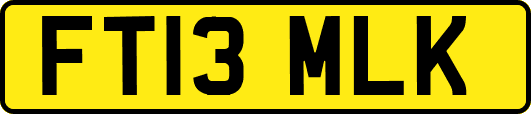 FT13MLK