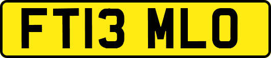 FT13MLO
