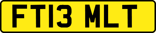 FT13MLT