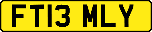 FT13MLY