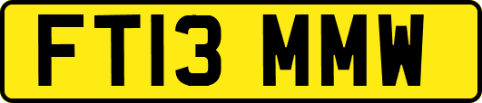 FT13MMW