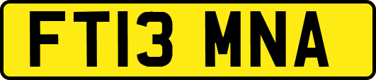 FT13MNA