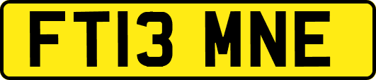 FT13MNE