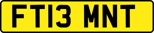 FT13MNT