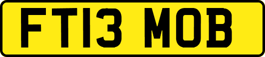 FT13MOB