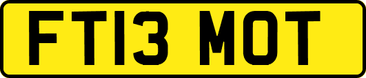 FT13MOT