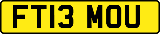 FT13MOU