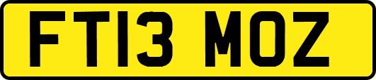 FT13MOZ