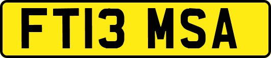 FT13MSA