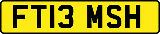 FT13MSH