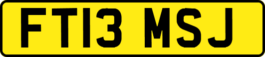 FT13MSJ