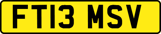 FT13MSV