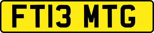 FT13MTG