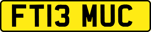 FT13MUC