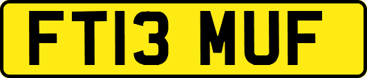 FT13MUF