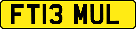 FT13MUL