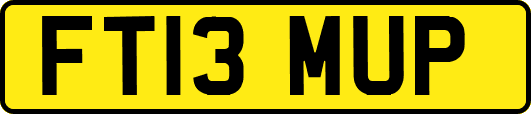 FT13MUP