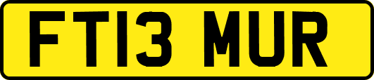 FT13MUR