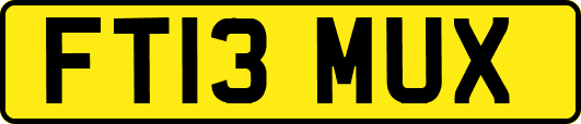 FT13MUX