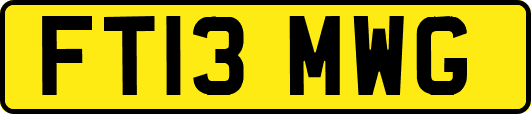 FT13MWG