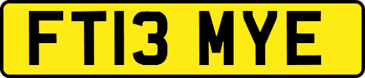 FT13MYE