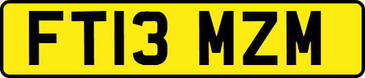 FT13MZM
