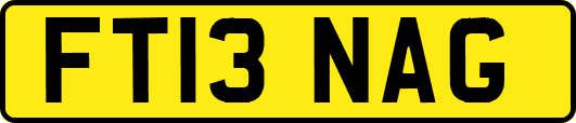 FT13NAG