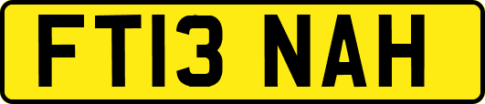 FT13NAH