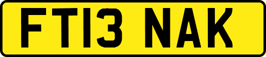 FT13NAK