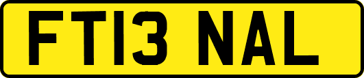 FT13NAL