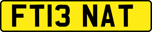 FT13NAT