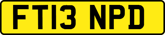 FT13NPD