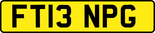 FT13NPG