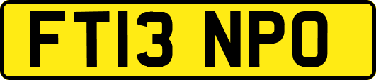 FT13NPO