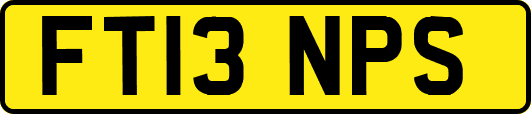 FT13NPS