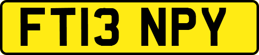 FT13NPY