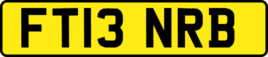 FT13NRB