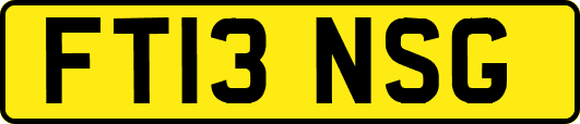 FT13NSG