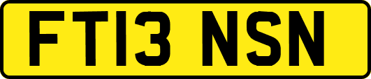 FT13NSN