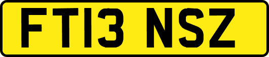 FT13NSZ