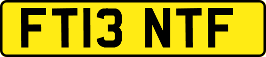 FT13NTF