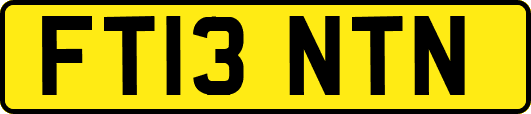 FT13NTN