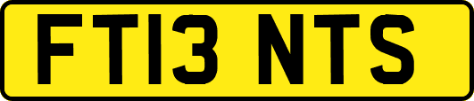 FT13NTS