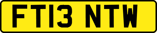 FT13NTW
