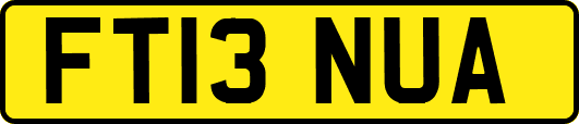 FT13NUA