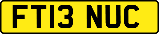 FT13NUC