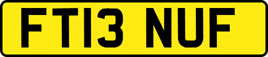 FT13NUF